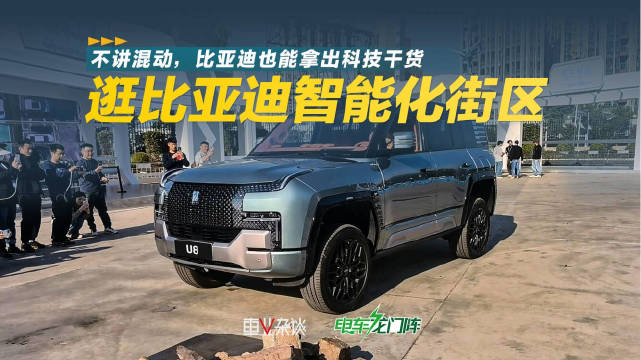 网络上有不少人说，比亚迪除了混动，在造车技术上一无是处……