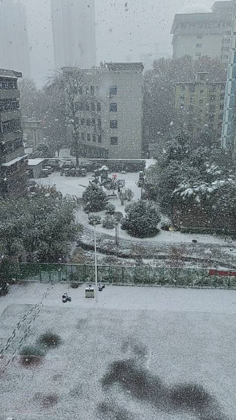 1月16日，西安再迎鹅毛大雪，漫天飞舞的雪花撒向大地……