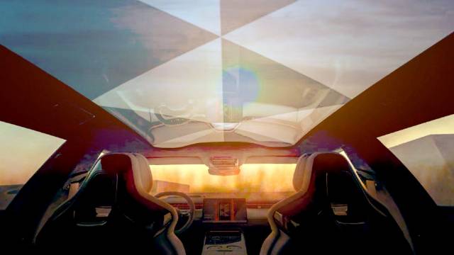 你想像风儿一样自由吗？