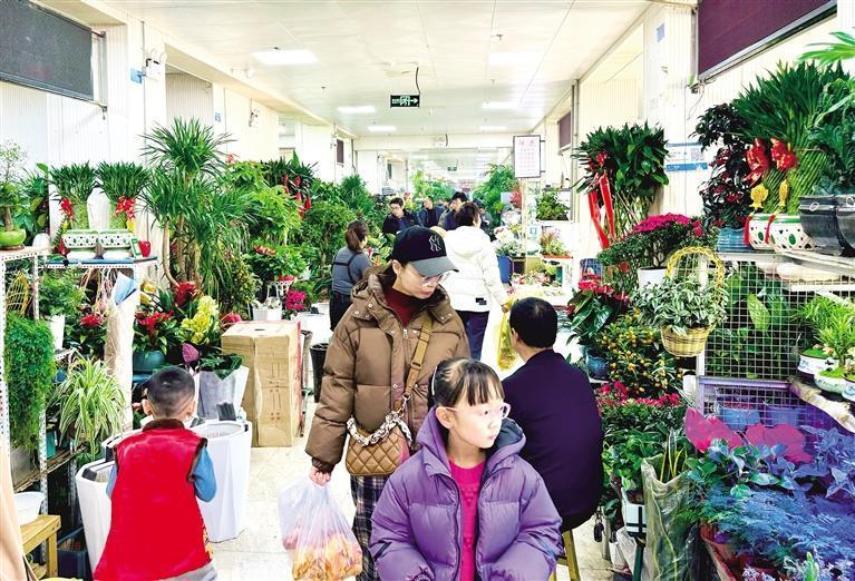 市民在选购花卉
