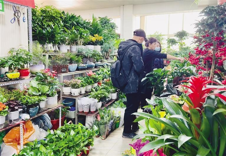 店主向顾客介绍花卉