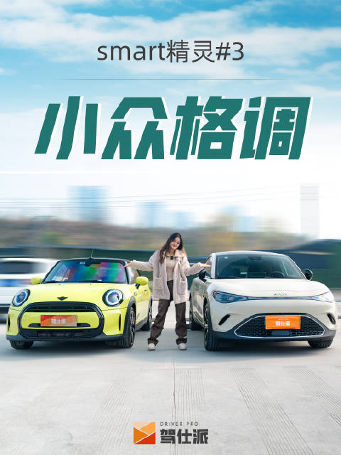 年终奖买车系列之smart3……