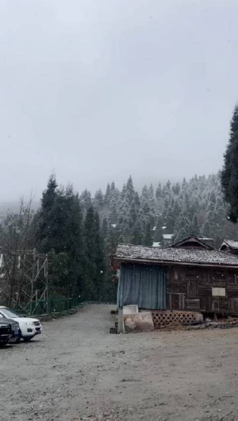 前方宝子来报： 九峰山下雪了