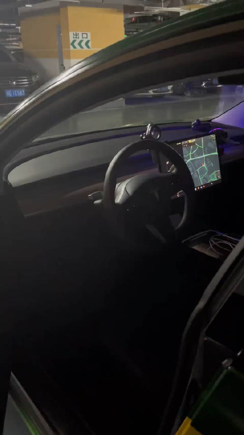 特斯拉（出租车限量版）