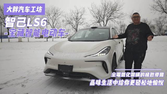 大胖汽车工坊……