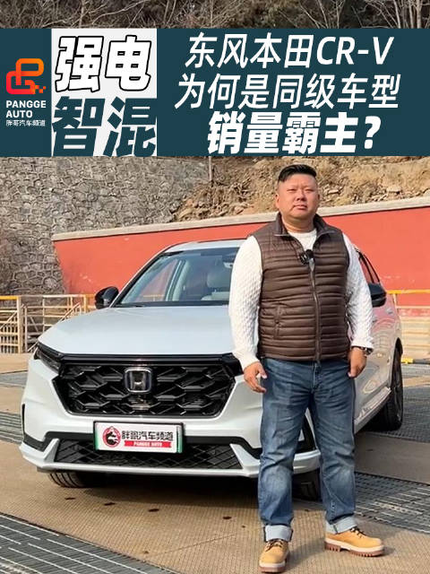 新能源竞争激烈，行业内卷的当下……