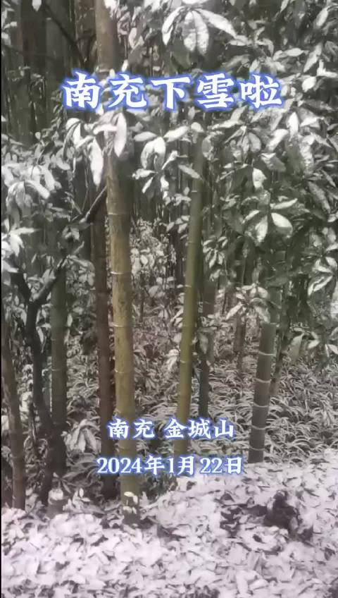 2024年南充第一场雪！