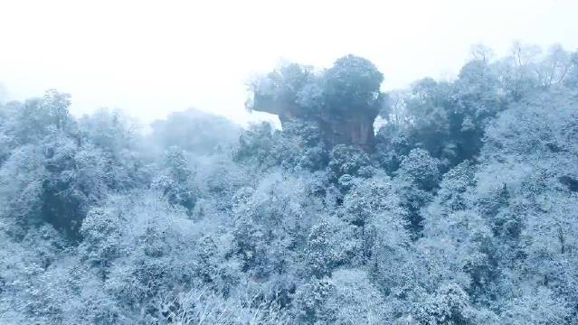 来啦！天台山景区2024年的第一场雪