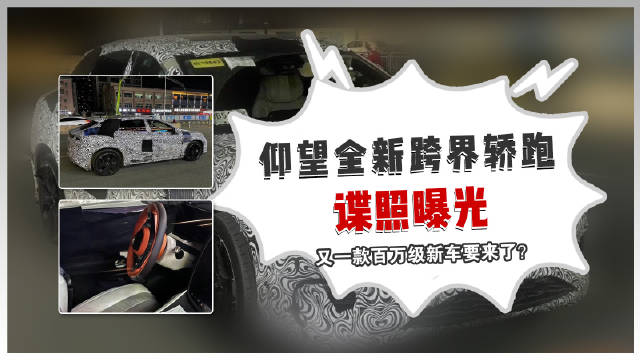 最近，网络上曝光一组仰望全新车型的测试谍照……