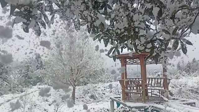 绵阳冬日思念，雪花飘落寒风中