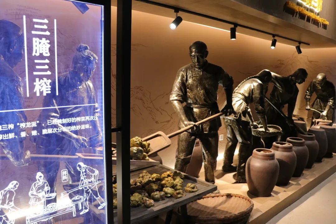 涪陵榨菜历史记忆馆内展示场景。胥世鹏 摄