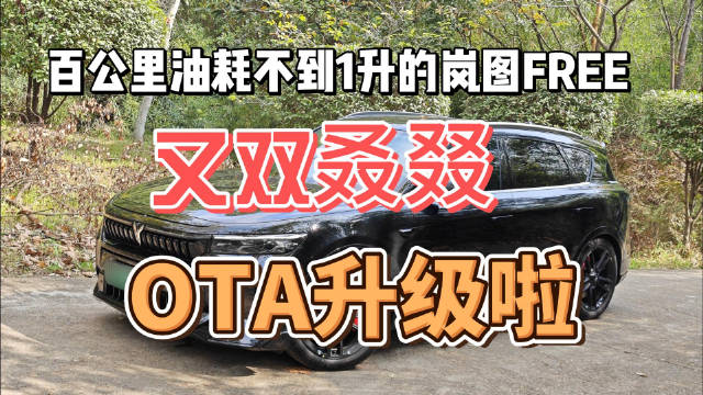 岚图FREE新年OTA大更新，用车体验提示明显