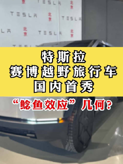 特斯拉赛博越野旅行车国内首秀 “鲶鱼效应”几何？