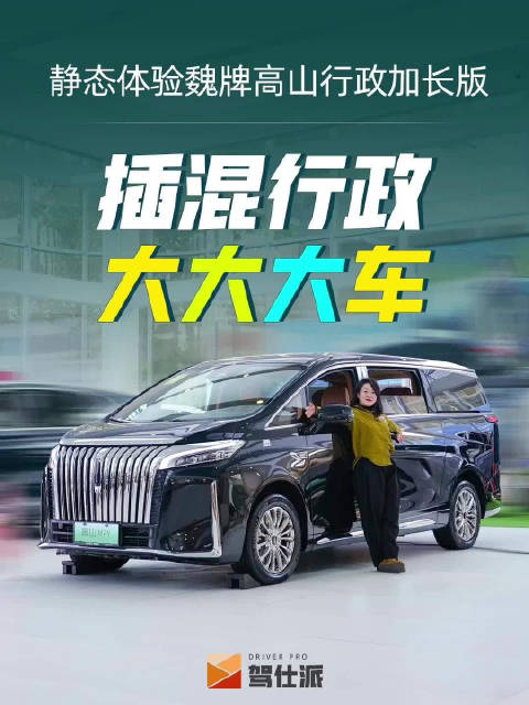 魏牌高山行政加长版，号称量产MPV的空间天花板……