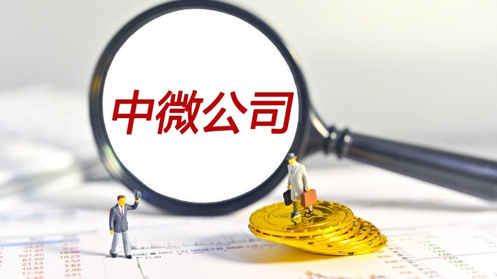 中微公司 IC 资料图