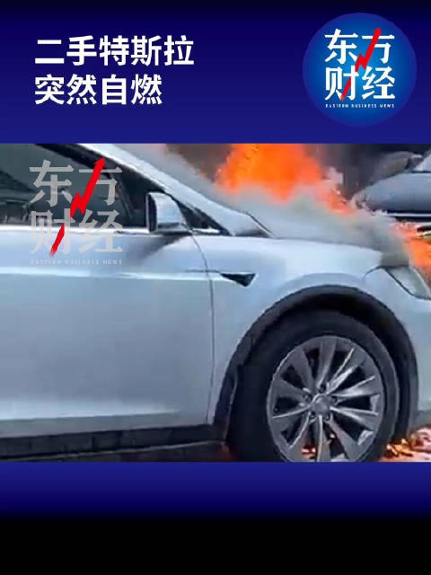 男子称二手特斯拉自燃