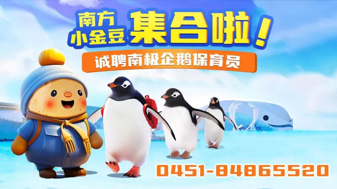 企鹅媒体怎么运营,企鹅媒体平台