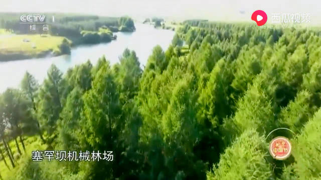 塞罕坝机械林场:一道由百万亩林海汇成的天然屏障……|林海|新冠肺炎_新浪新闻