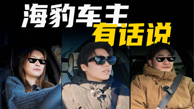 海豹自2022年7月上市以来，就迅速走红……