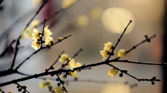 在古人的智慧里，门是一开一合的方寸之地……