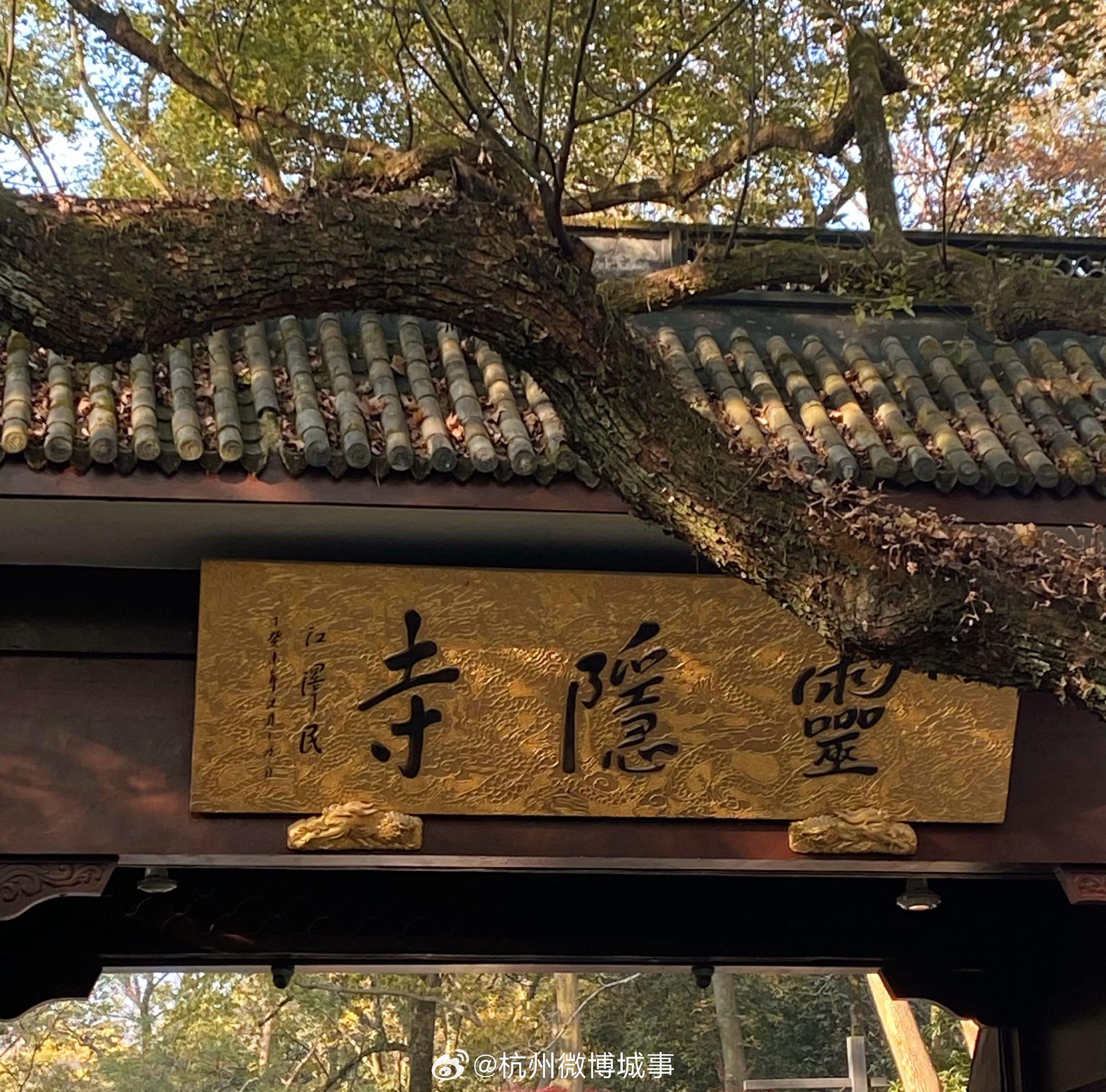 来杭州,你一定会去打卡的地方是哪?|肖战|杭州市_新浪新闻