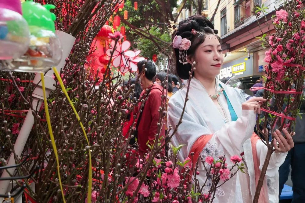 越秀西湖花市,市民在选购年花