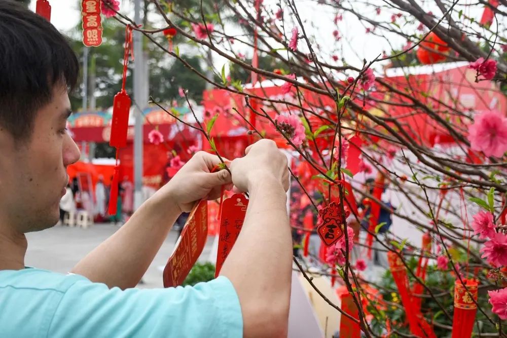 白云花市,市民在桃花树上系上新年愿望
