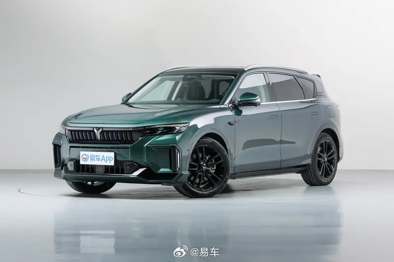 斯洛文尼亚经销商：中国电动车在欧洲市场潜力巨大