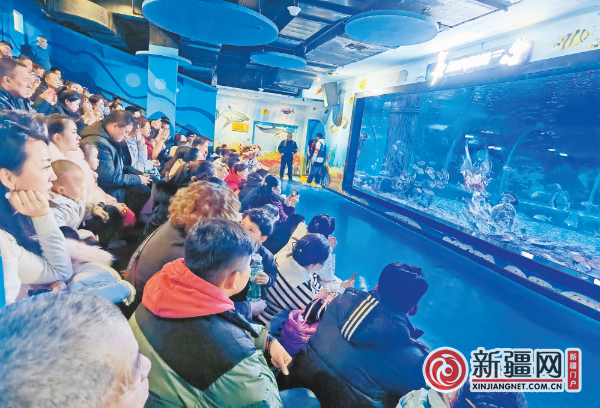 2月13日,在乌鲁木齐县闲来小镇南山海世界海洋公园,游客观看美人鱼表演。(全媒体记者陈岩摄)