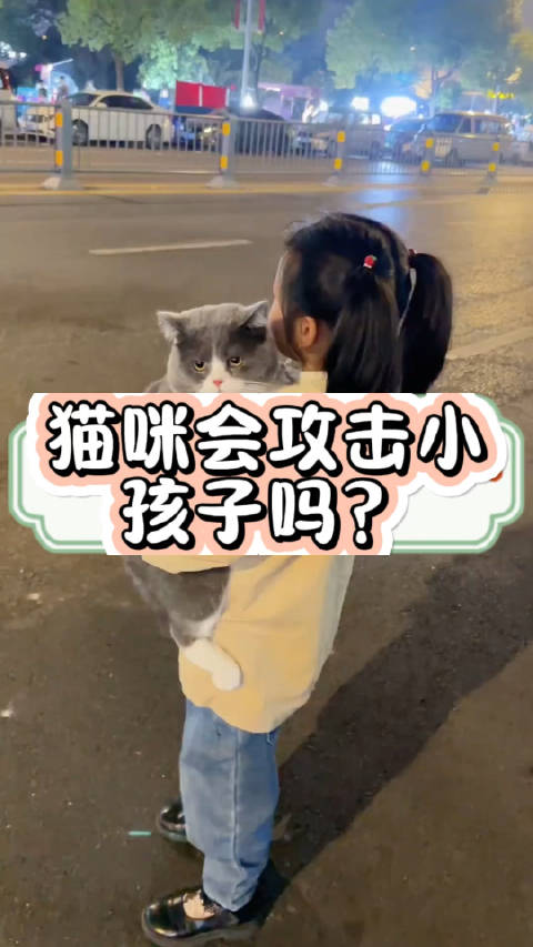 猫咪会攻击小孩子吗？