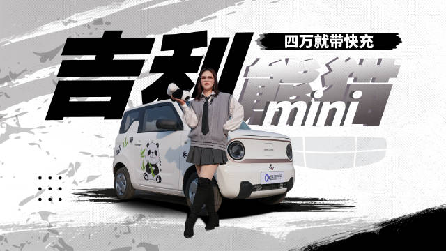 糯玉米一生之敌，吉利熊猫mini才是被低估的对手！
