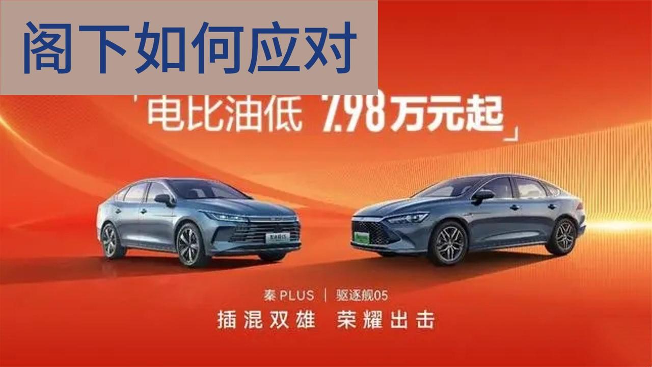 比亚迪秦PLUS DM-i荣耀版7.98万起 就这价格了 还有啥缺点