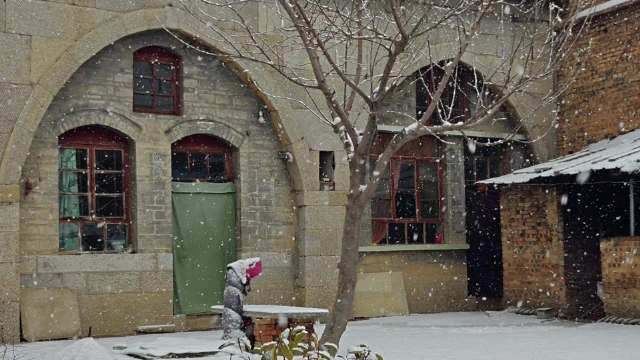 已经上班的人啊，告诉你们家里下雪了