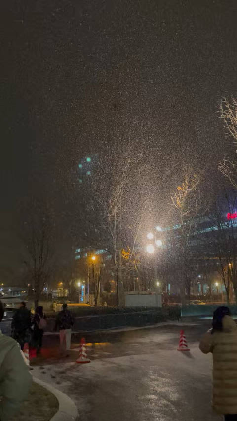 北京这雪真大啊，一秒回到冬天