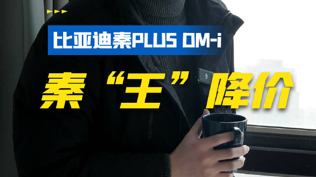 秦“王”降价，打响24年车圈价格战第一枪