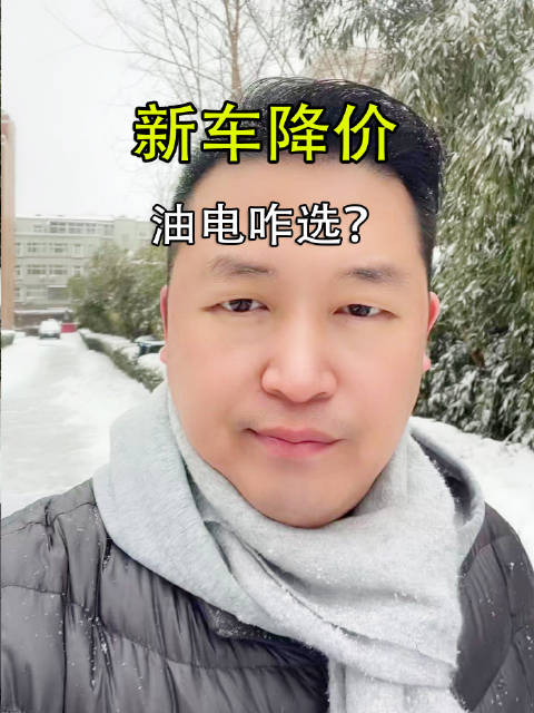 降价了，油电咋选？