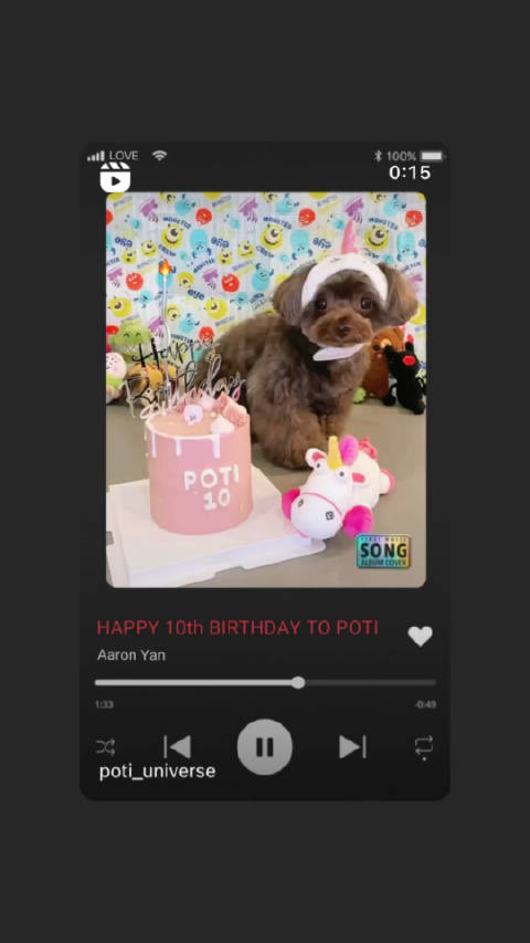 祝Poti 10歲 生日快樂