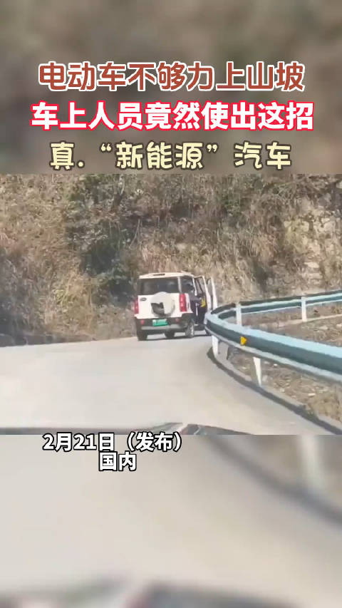 真“新能源”汽车
