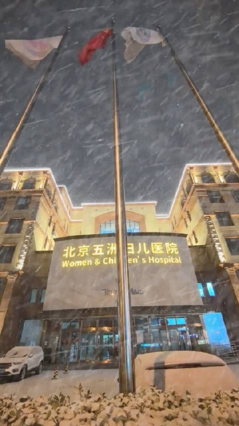 龙年第一场雪，漂亮！