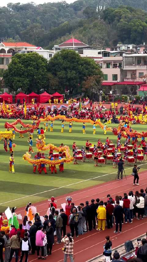 龙年游龙海 百龙闹元宵