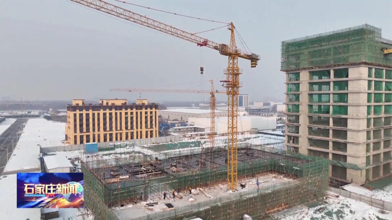 石家庄：全力抓好项目建设 奋力夺取首季“开门红”_新浪新闻