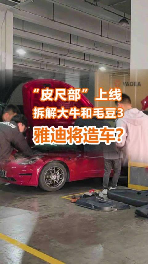 电驴之王雅迪也要造车了？