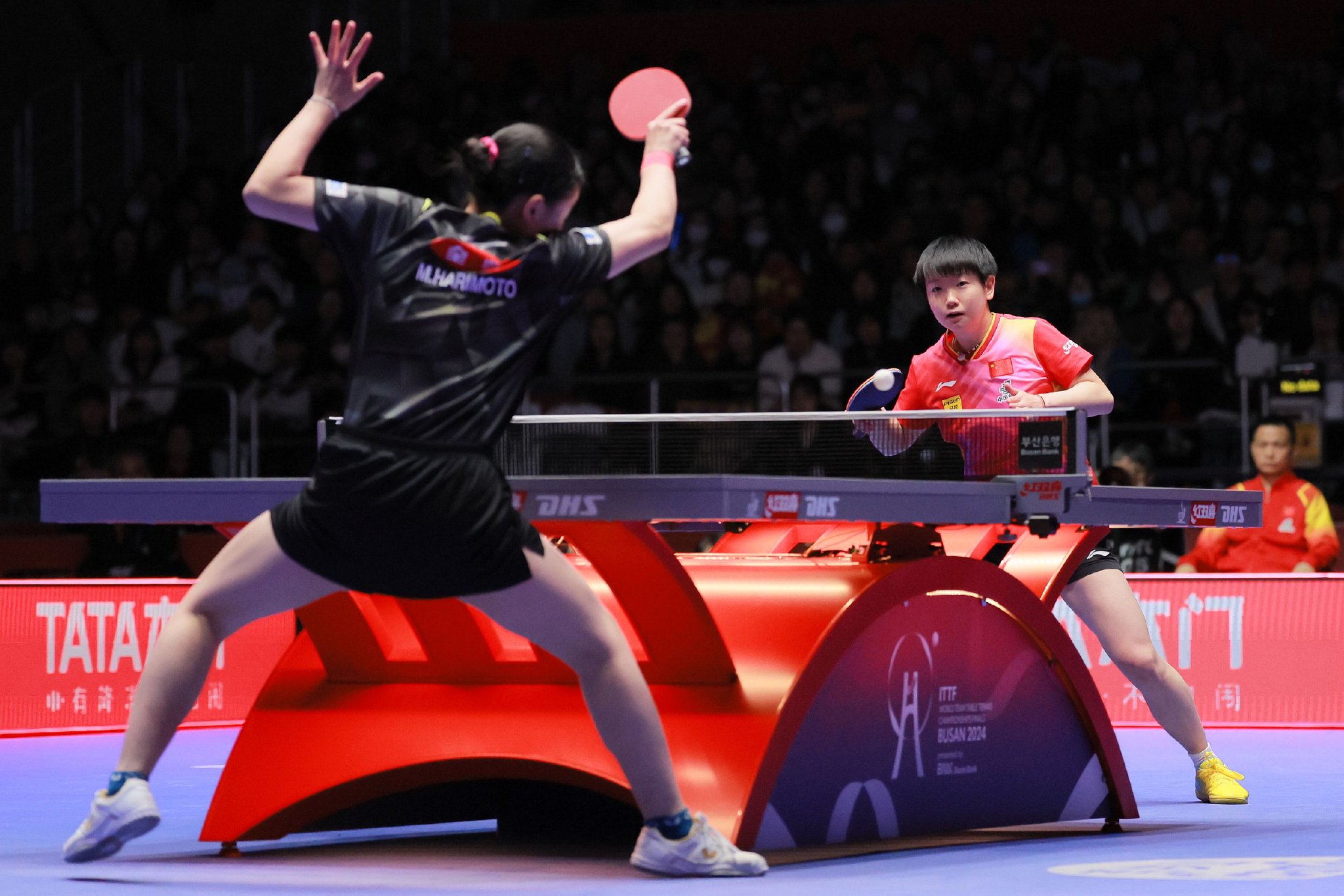 6a1a-0645a914e76a75512bacbccfa60fd5ad.jpg