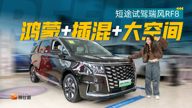 20多万的MPV市场可以用空白来形容……