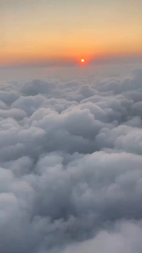 确实家里太舒适了，但必须要返校了，已经多请了一个周的假……