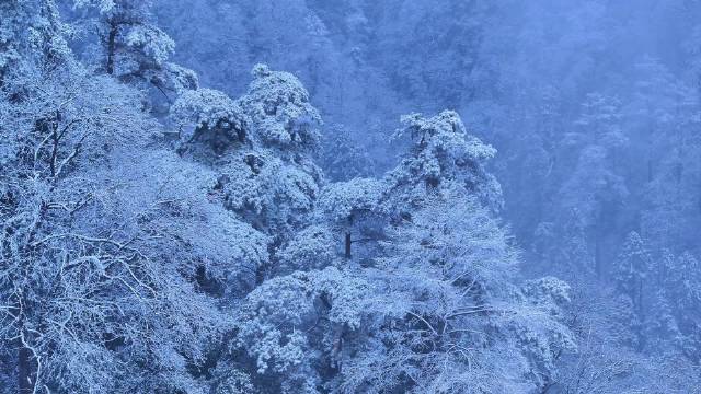 天目雪域 | 带你走进天目山的冰雪王国