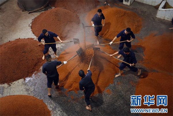 茅台酒厂“下沙”轮次生产。新华网 卢志佳 摄