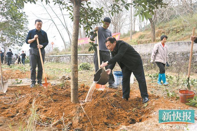 以党建引领推进乡村绿美生态建设|清远市|广东省|提升|计划|植树_新浪新闻