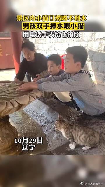 景区小猫口渴喝不到水，男孩暖心捧着水喂小猫