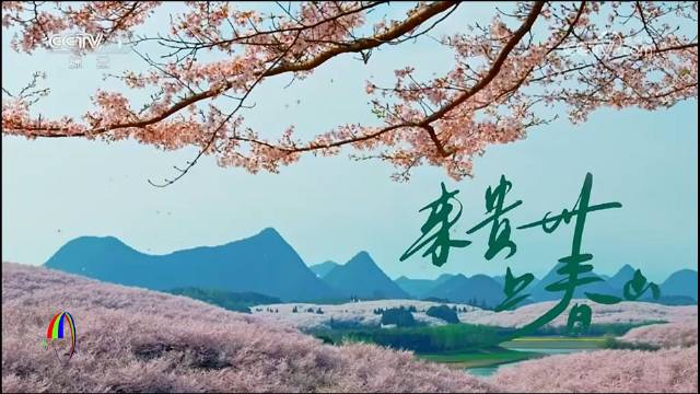 多彩宝手机APP在哪里进行申请身份证办理